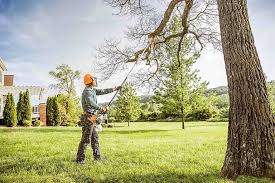 Best Leaf Removal  in Cheswick, PA